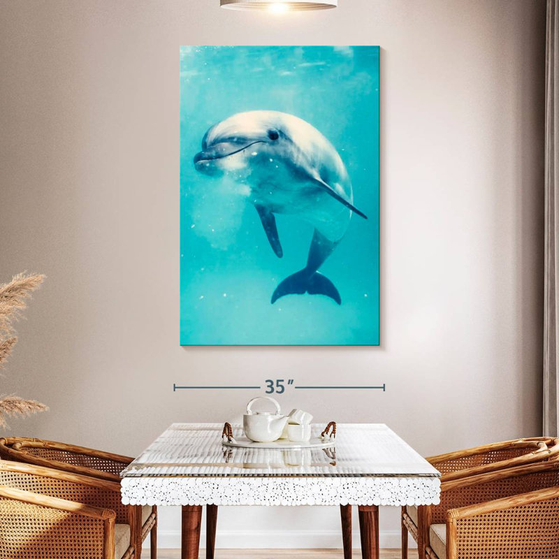 Brampt Bottlenose Dolphin Underwater, 51" H x 34" W