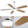 Lieschen 52'' Ceiling Fan with LED Lights