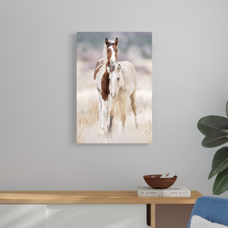 Collection de chevaux X, H 30 po x l 20 po