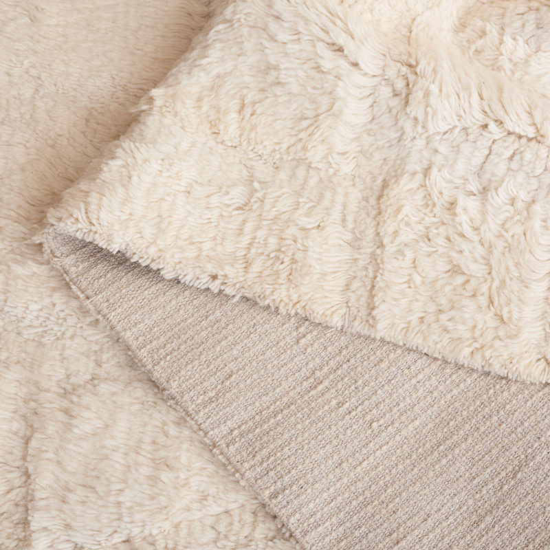 Azreal Solid Color Handmade Wool/Cotton Area Rug in Ivory, Rectangle 8' x 10'