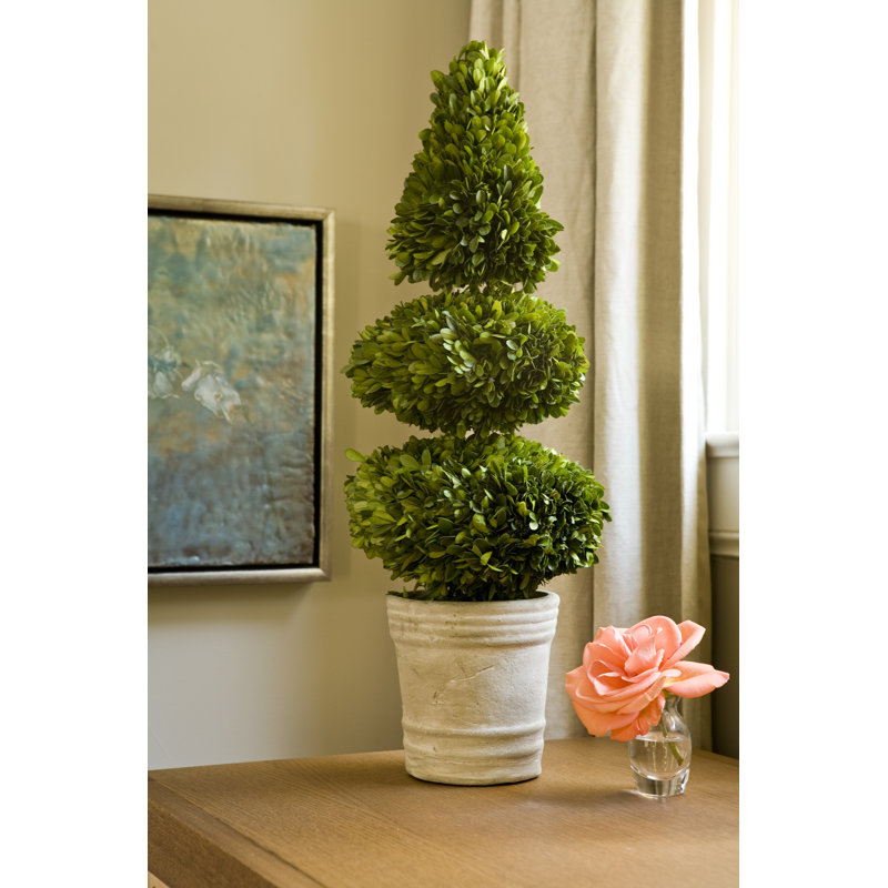 Pot de fleurs rond en forme de cône double boxwoods préservé