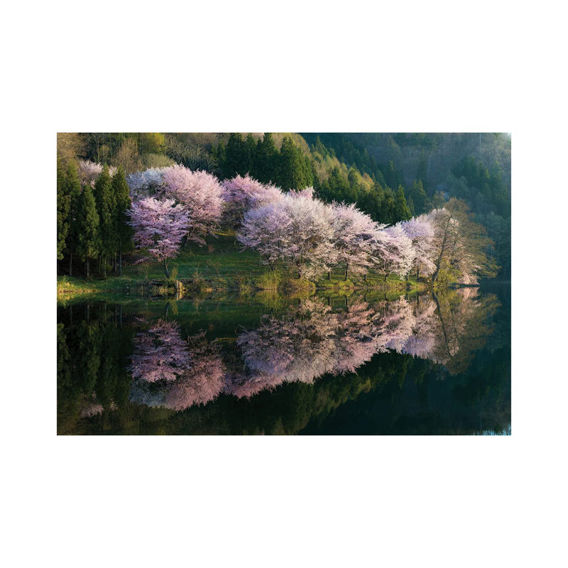 «Sakura» par Tatsuki Ito - reproduction de photo sur toile tendue, H 26 po x l 40 po x 1,5 po