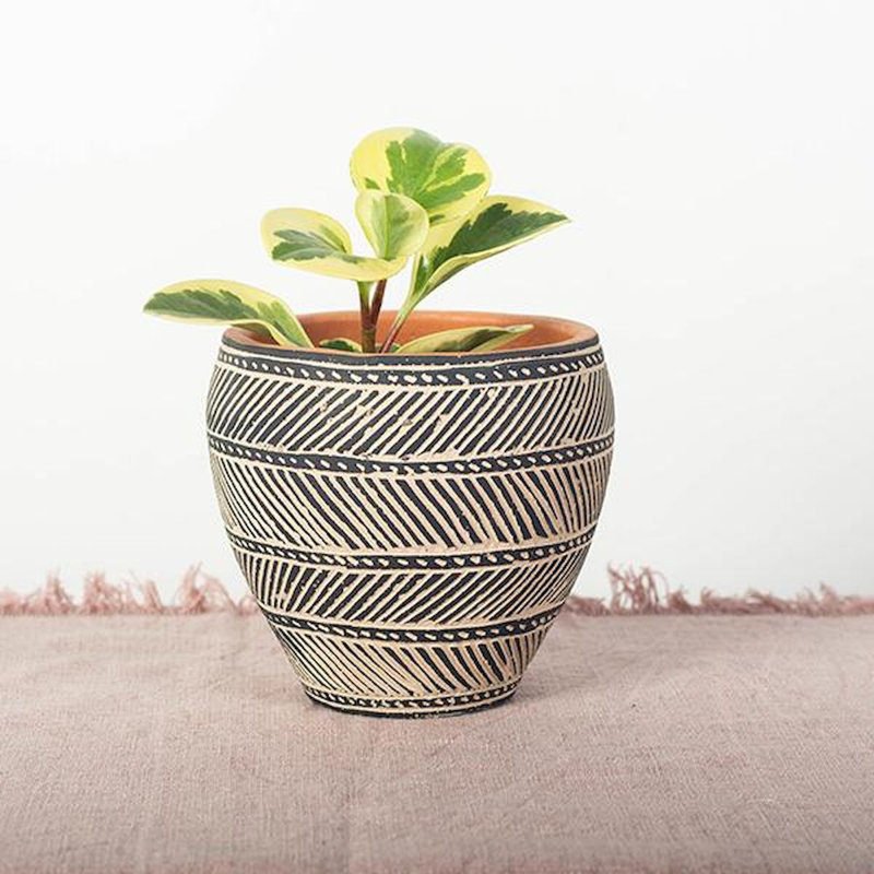Cache-pot Ernir