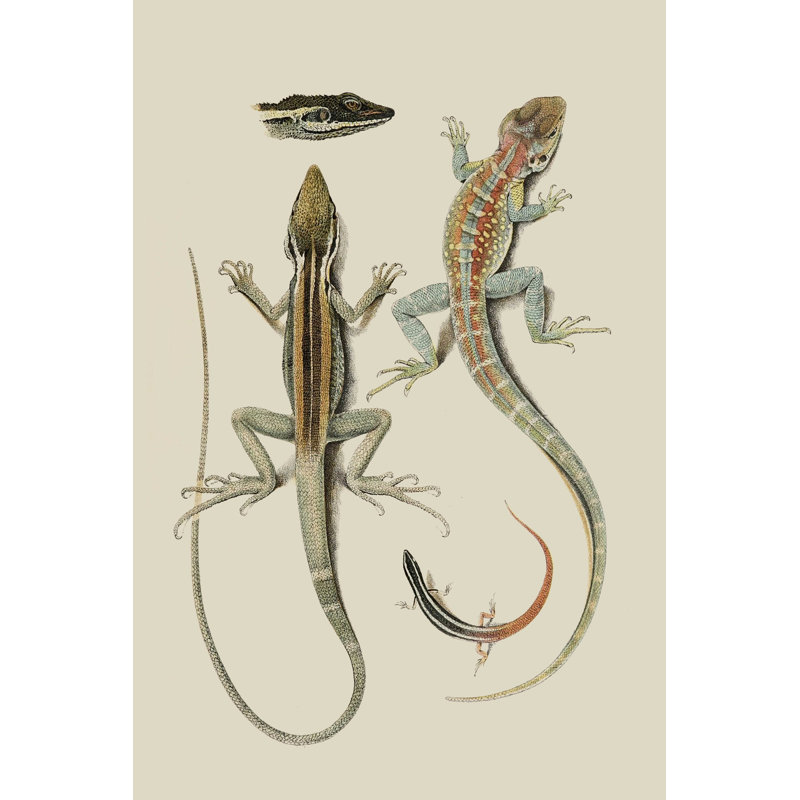 " Antique Lizards II ", 18" H x 12" W