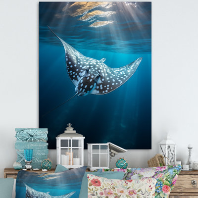 Wilbrecht Ray Graceful Glide Ocean sur toile