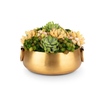 Arrangement succulent Timeless Living