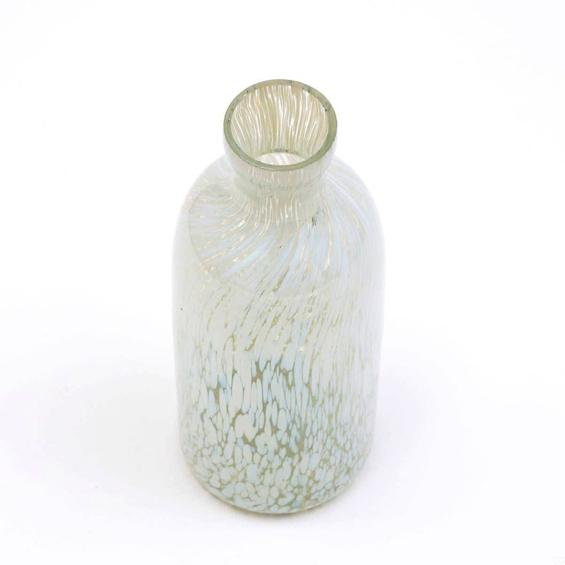 Glass Bottle Vase