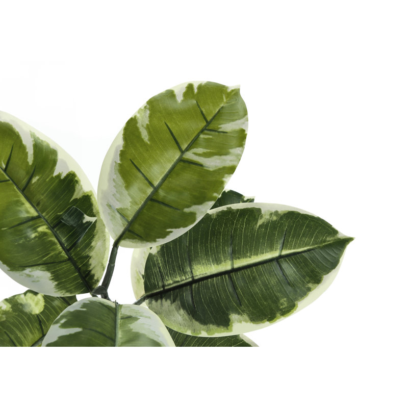 52'' Faux Rubber Tree Plant in Polyethylene (Pe) Pot