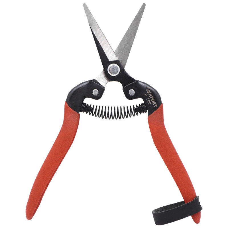 Zenport, Carbon