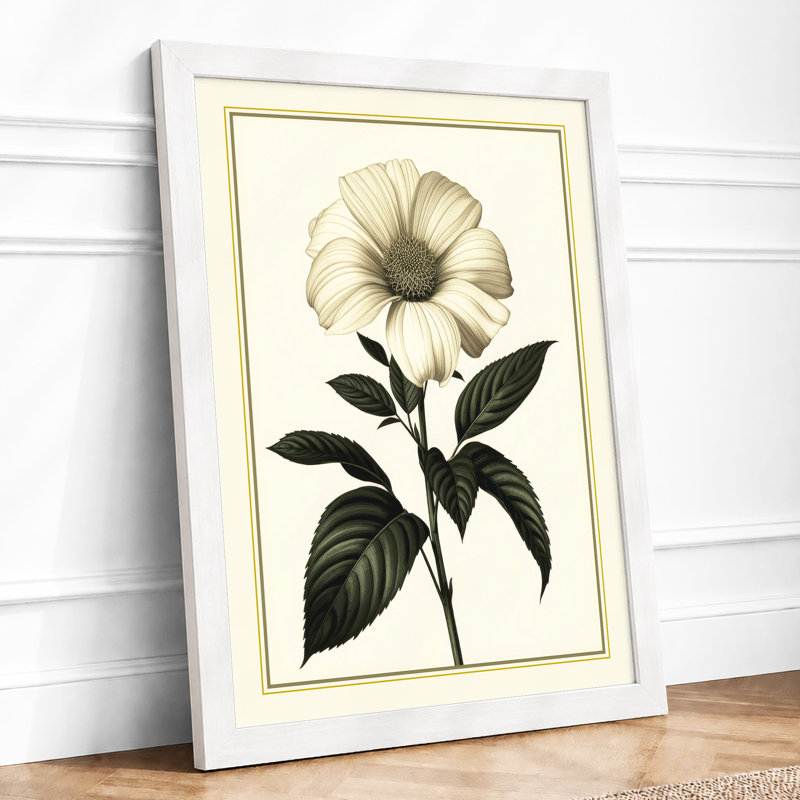 Classical Study Botanical - Framed Print, A4 - 29.7 x 21.0 cm, White