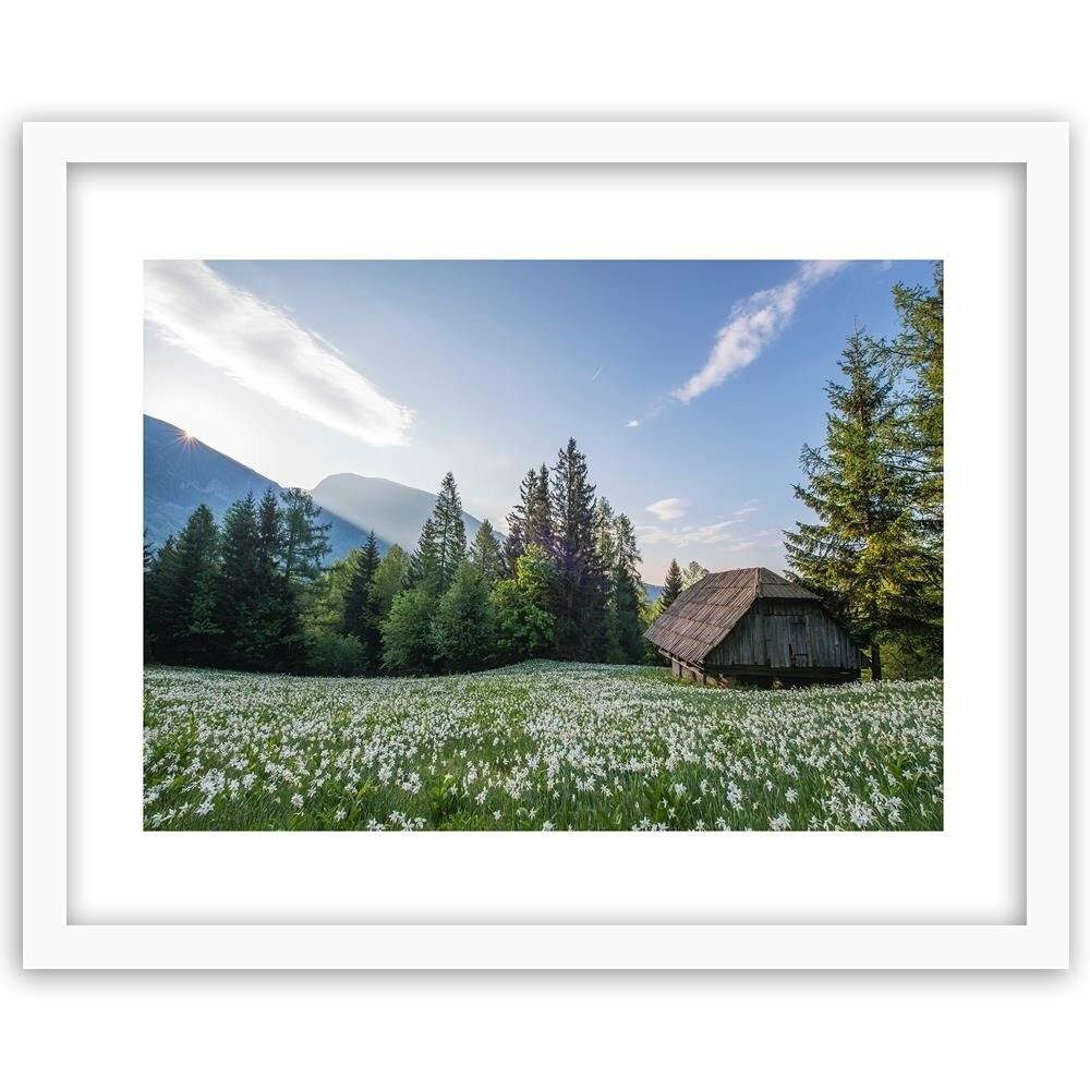 Gerahmter Fotodruck Holzhaus inmitten von Blumen