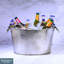 Buckingham Stainless Steel Large Beverage Tub Ice Bucket for Drink Cooler-56621770
