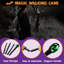 Canne rétro Joyfy Halloween