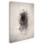 « nest ii », reproduction de photo sur toile tendue-31386245