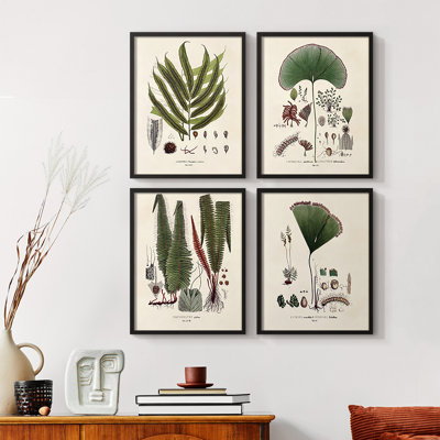Bold Shape Shift II Framed Print - Set of 4