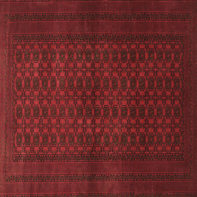 Oriental Indoor Rug