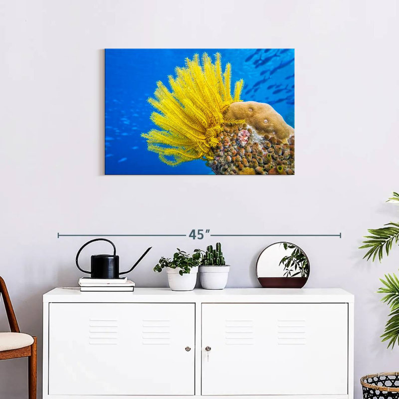 Brampt Yellow Feather Starfish, 20" H x 30" W