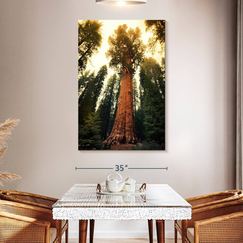 Alvord Twilight Sequoia National Park, H 51 po x l 34 po
