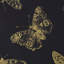 Papier peint Burnell Butterfly-55273222