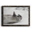 Laughing Seal - photographie encadrée sur toile-1929544613-1929544638