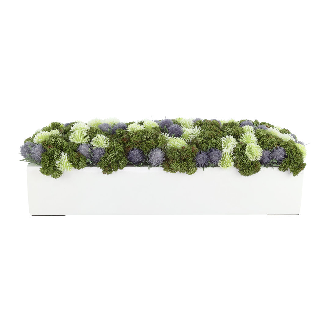 Murdock Sedum and Thistle Arranged in Fiberstone Planter Primrue