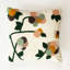 Housse de coussin Cornman