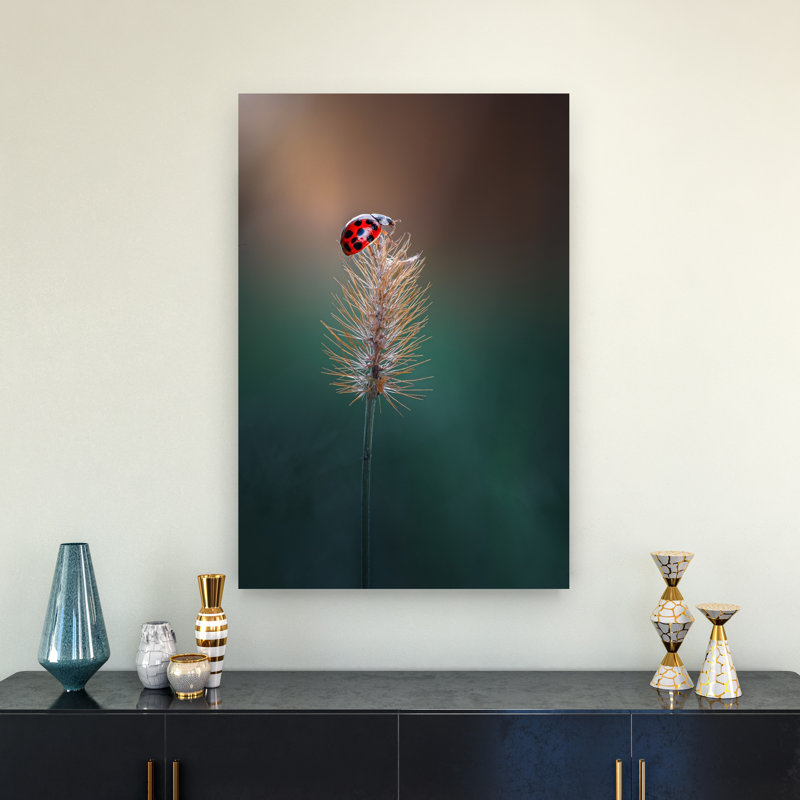 Red Ladybug Perched Delicate Peaceful Serene Ladybug Nature Plant Wall Art Print 1 Piece Wrapped Canvas Wall Art
