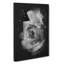 Rose Flower - Wrapped Canvas-56635260