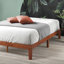 Lit Aristia-985632357