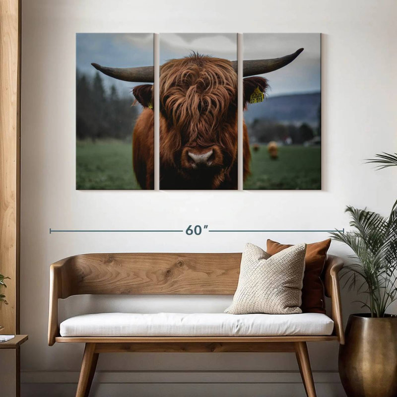 German Highland Cow, 32" H x 50" W