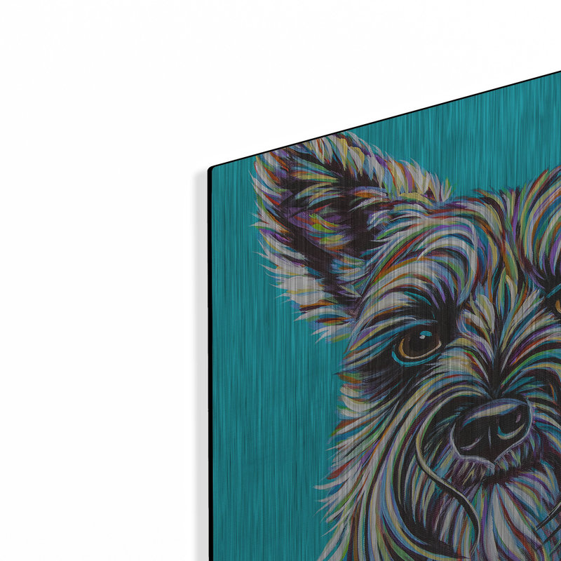 «Colorful Schnauzer» par Carolee Vitaletti, H 12 po x l 12 po