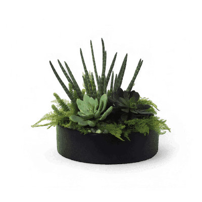 19" Urban Jungle Arrangement