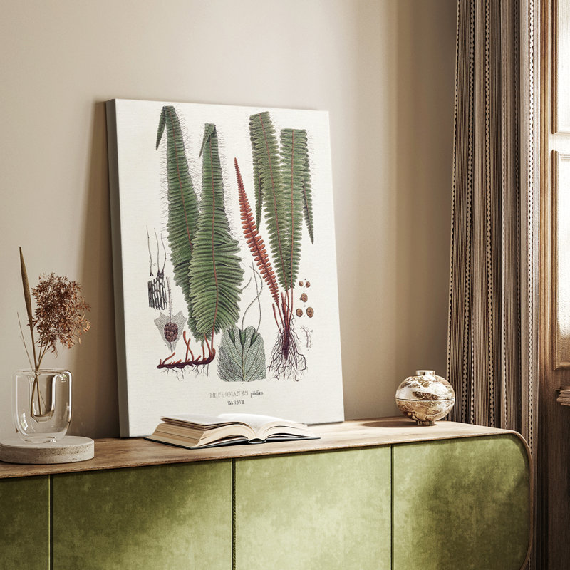 Botanical Society Ferns IV - Gallery Cavas