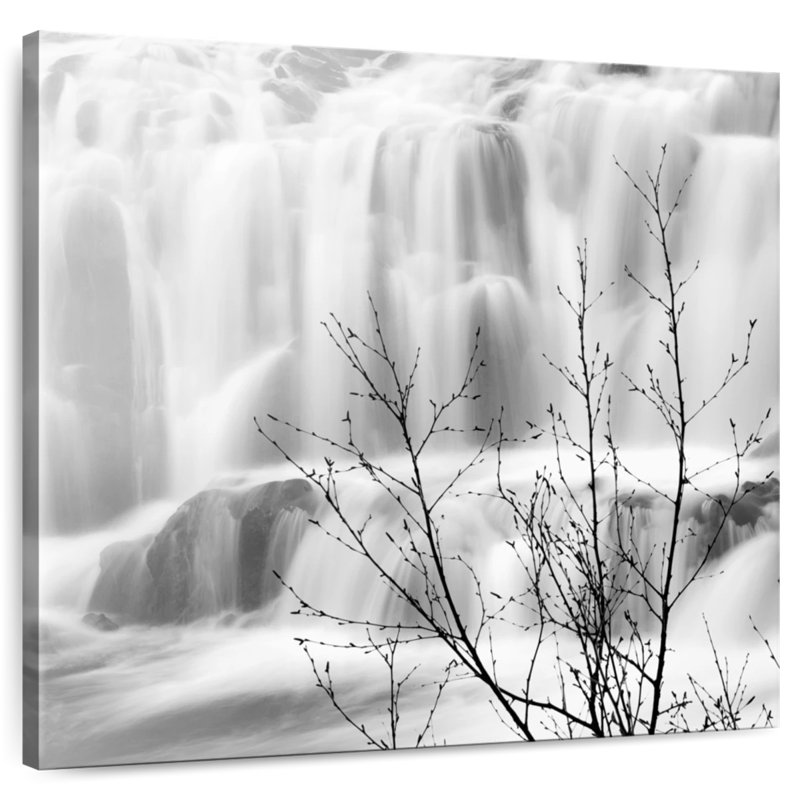 Alvord BW Waterfall, 10" H x 10" W