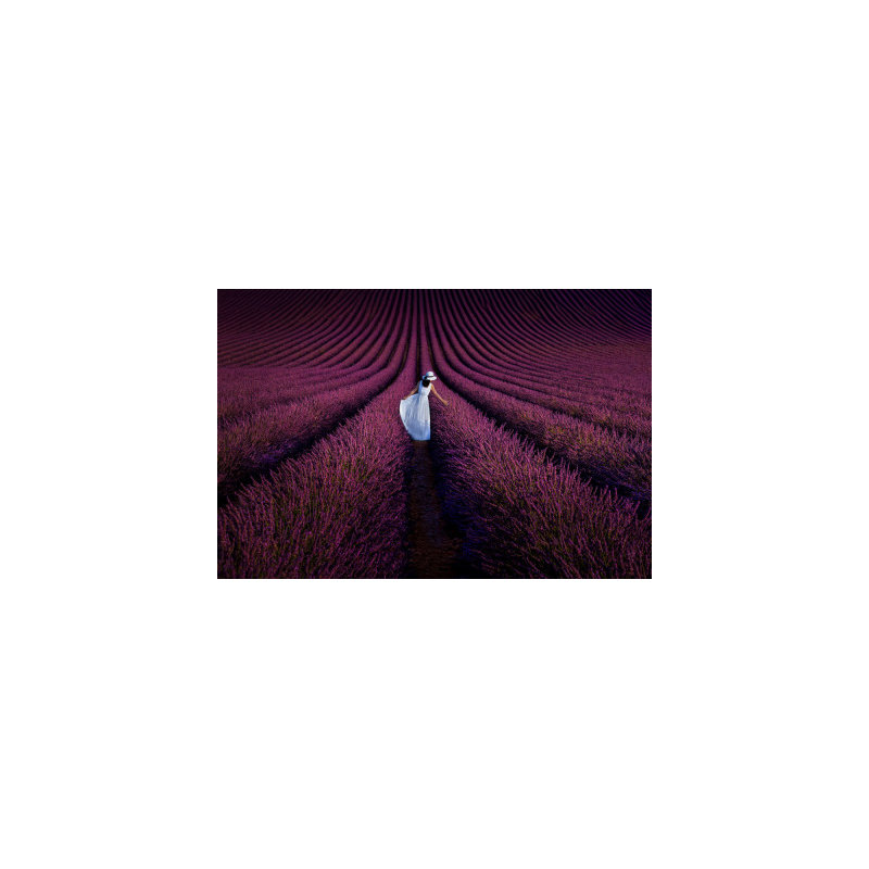 Wrapped Canvas Print, 60.96cm H x 91.44cm W