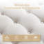 Daquasha 30" Wide Tufted Round Cocktail with Storage-1551432072