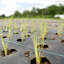 Weed Control Flooring-56681773