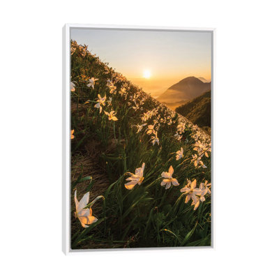 Daffodils by Ales Krivec - Print on Canvas