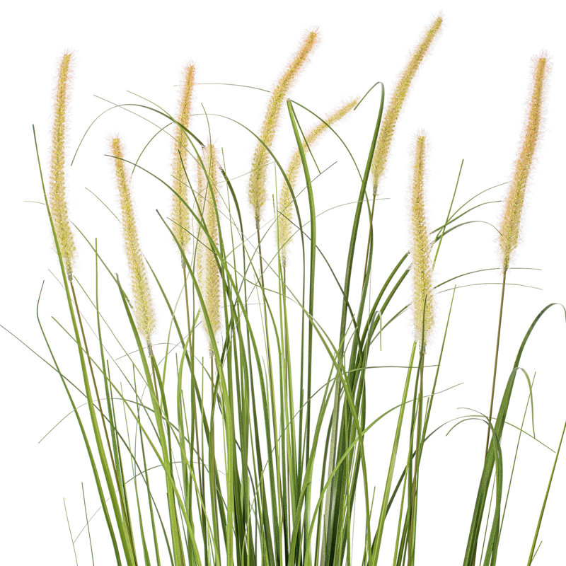 Artificial Potted Green Grass and Cattails, 60" H x 33" W x 33" D