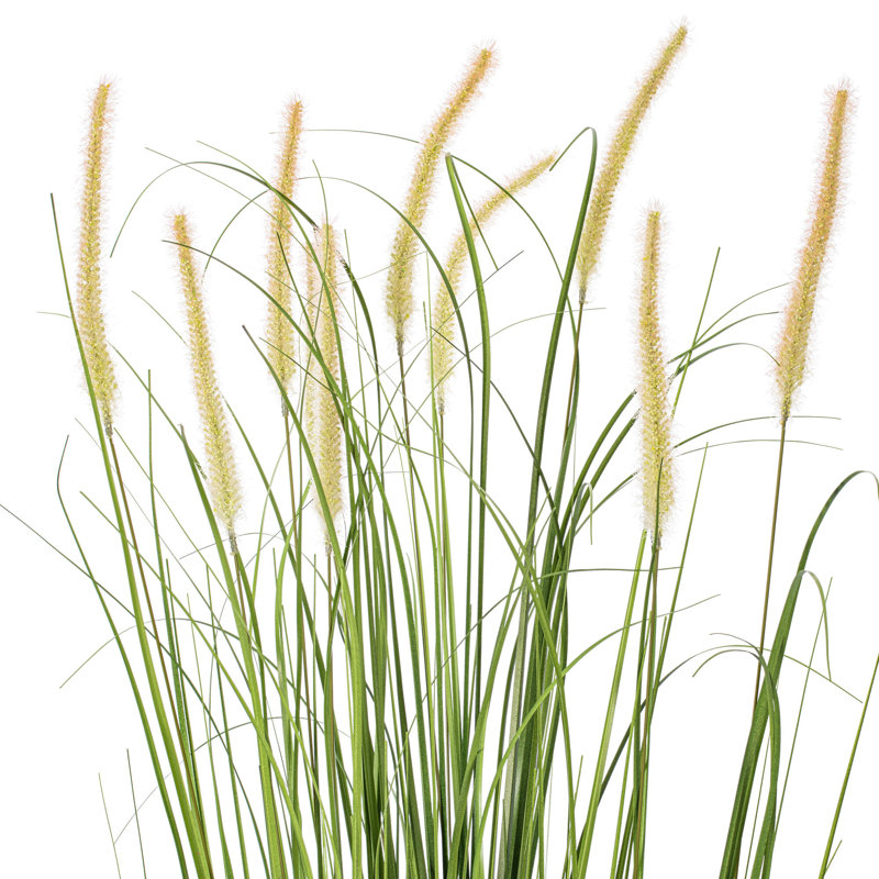 Herbe verte et quenouilles artificielles en pot, H 60 po x l 33 po x P 33 po