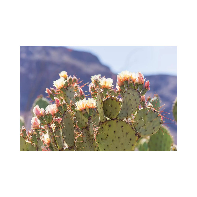 Prickly Pear Ii 1 Piece Wrapped Canvas Wall Art, 66.04 cm H x 45.72 cm W x 1.91 cm D