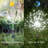 Solar Powered Integrated LED Pathway Light Pack-70596439
