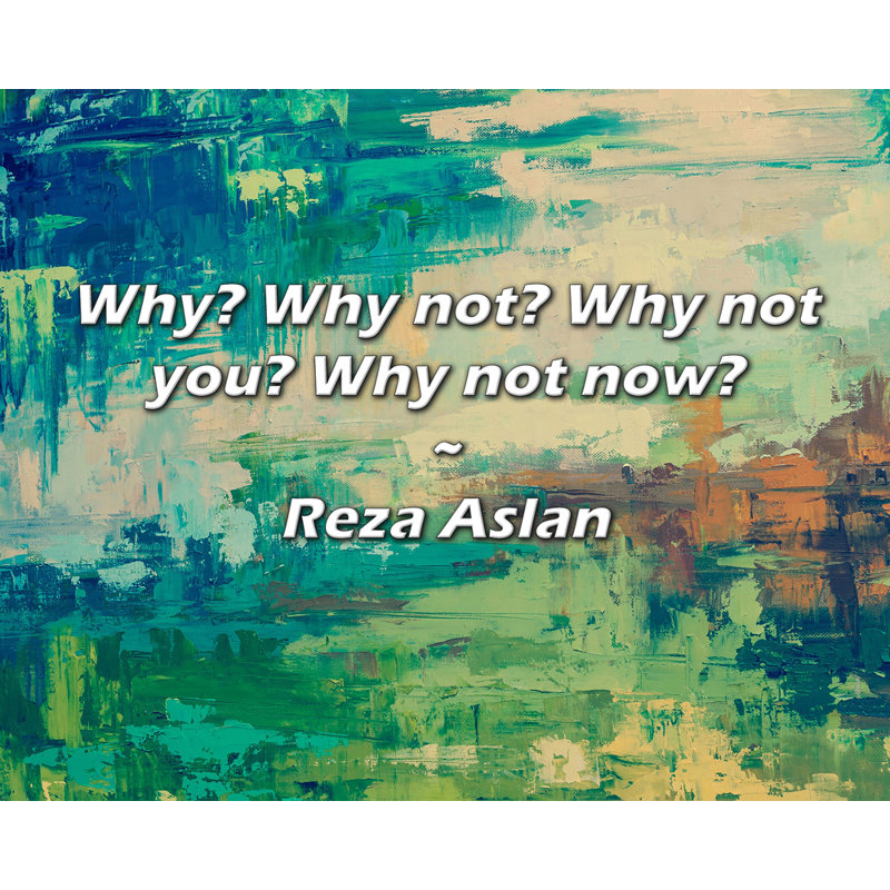 Reza Aslan Quote: Why? Why not? Why not you? Why not now?, 15" H x 18" W