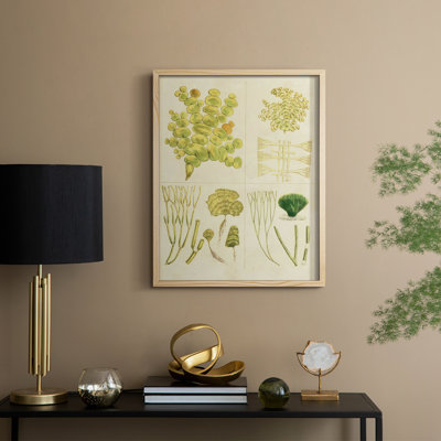 Vintage Sea Grass IV Framed Print - Solid Wood