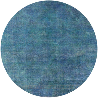 Anivia Indoor Rug