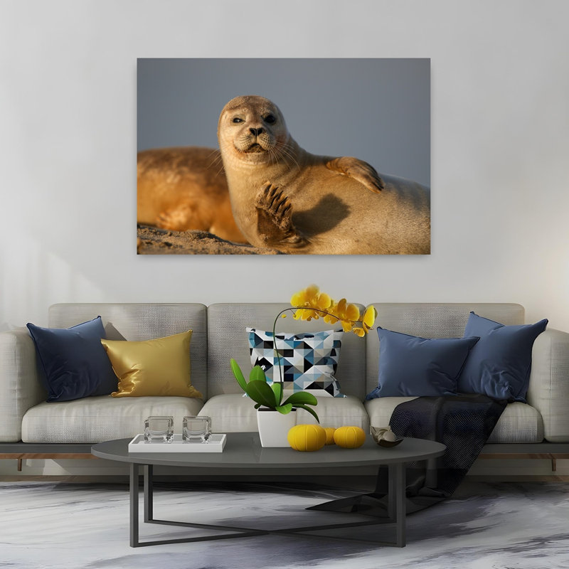Curious Seal Waving by Anne Ponsen - Wrapped Canvas Print, 152 cm H x 102 cm W