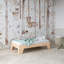 Lit pour tout-petit Little Seeds Maverick Montessori