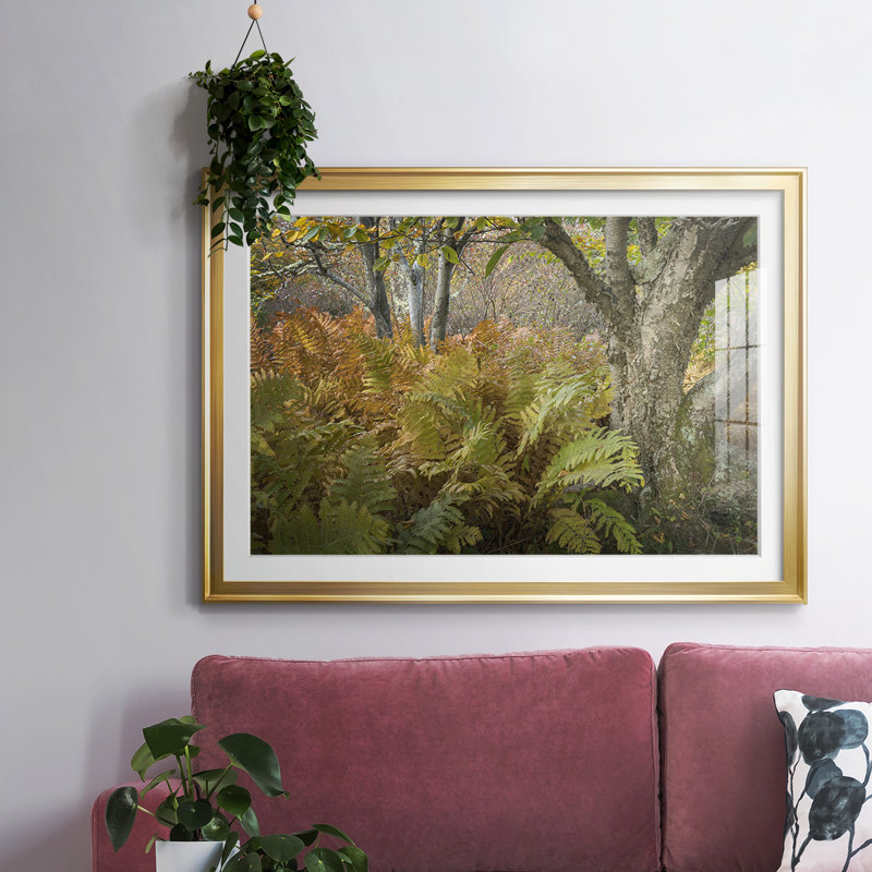 Autumn Ferns, reproduction d'art encadrée, Or, H 15 po x l 21 po x P 1,5 po