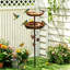 Cuvette de bain d'oiseaux de jardin en fer 3 en 1 avec mangeoire d'oiseaux, grand bassin, 5 piquets