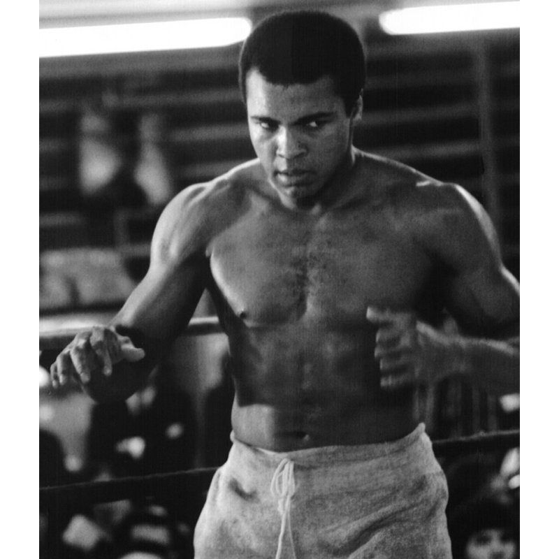 Muhammad Ali: Champions, 23" H x 20" W